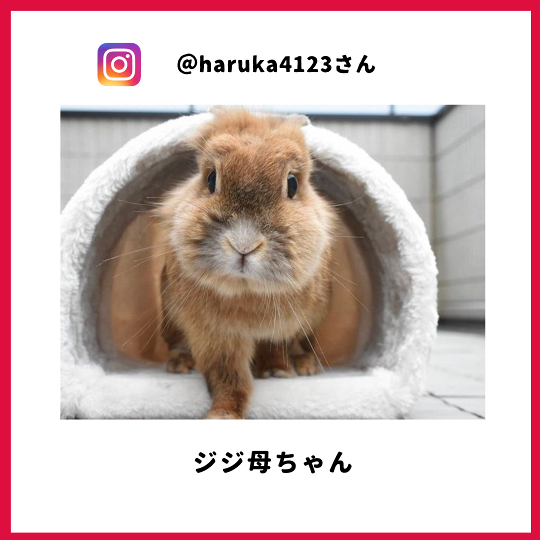 ジジ母ちゃん