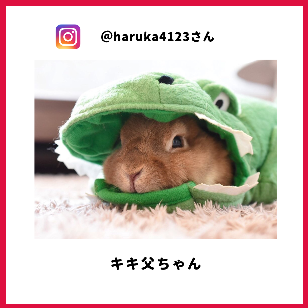 キキ父ちゃん