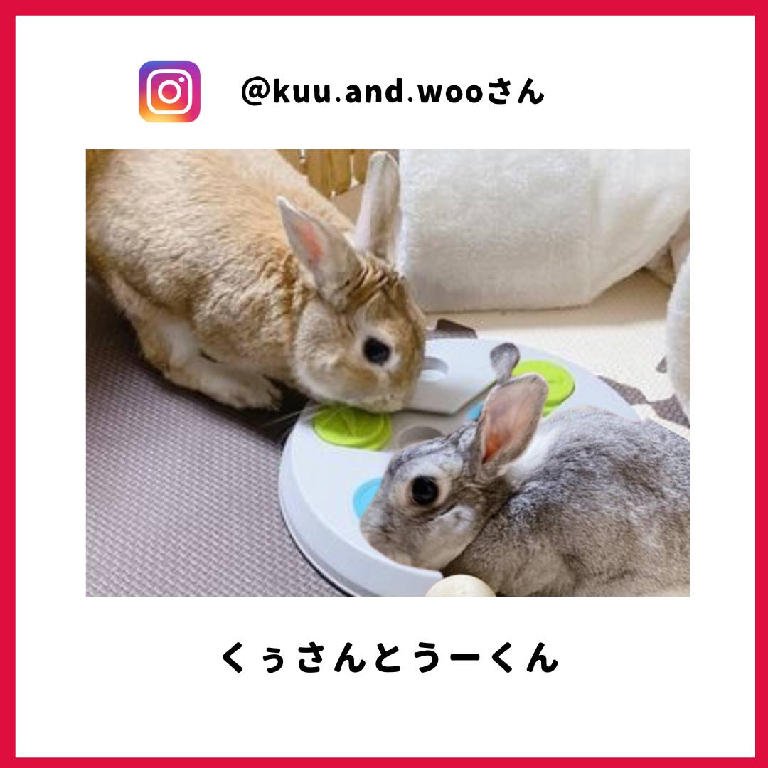 くぅさん・うーさん