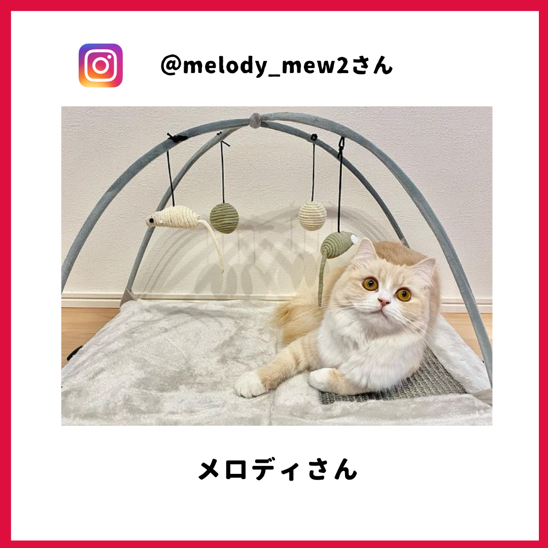 メロディさん