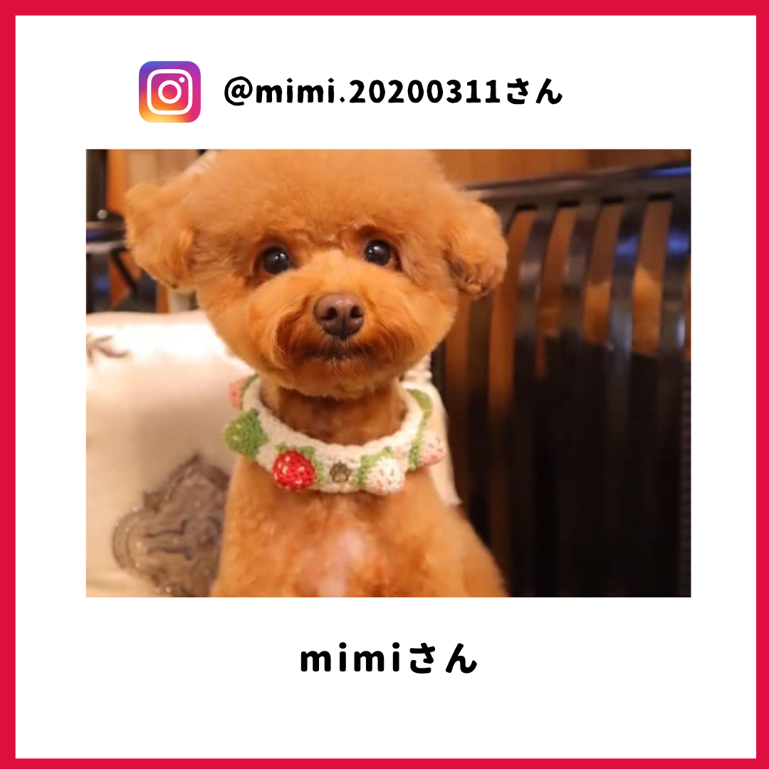 mimiさん
