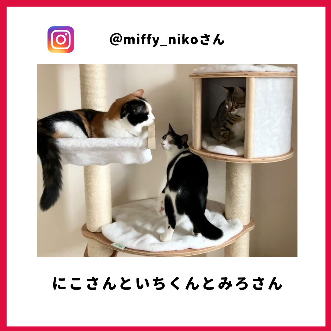 いちさん・にこさん・みろさん