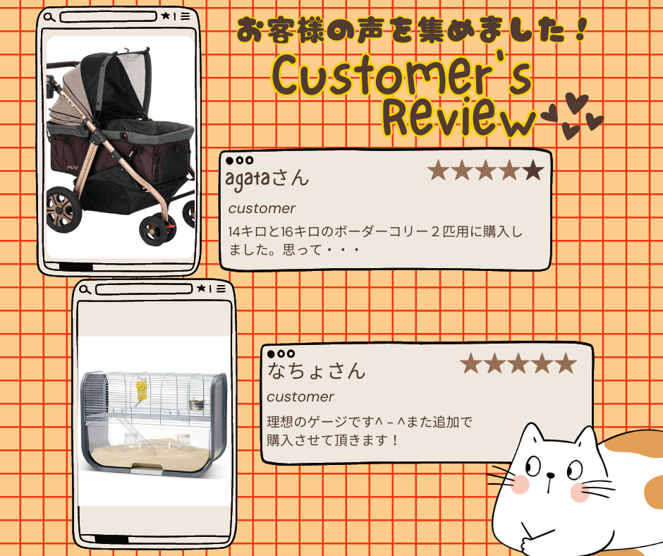 ALLFORWAN'S LIFE レビュー投稿方法
