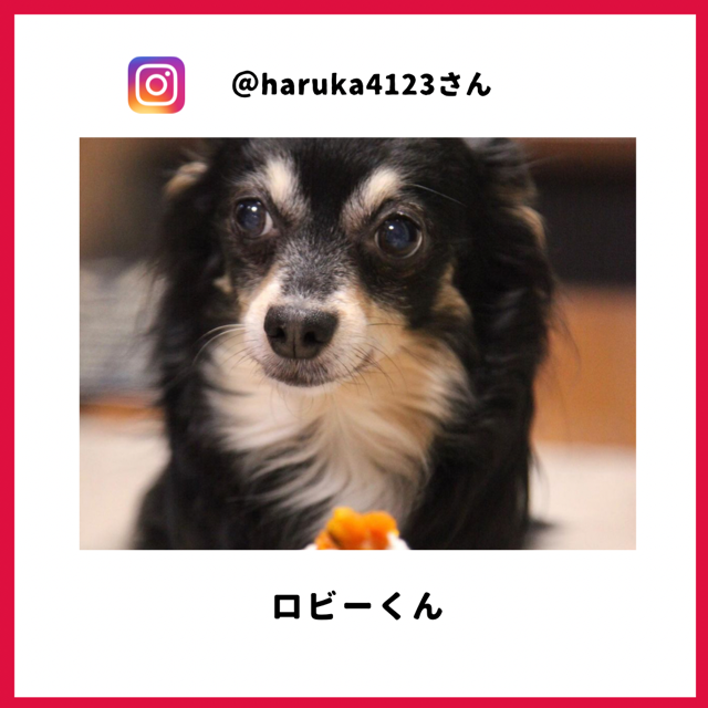 ロビー君