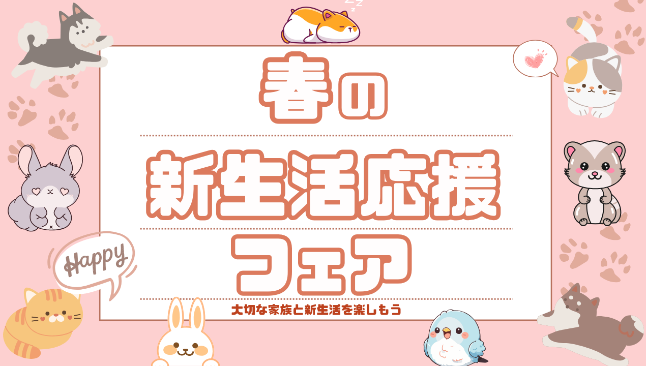 春の新生活応援フェア