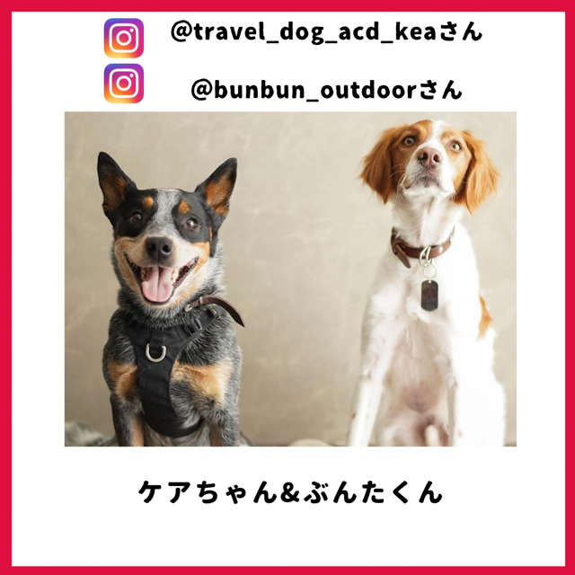 ぶんたくんとケアちゃん