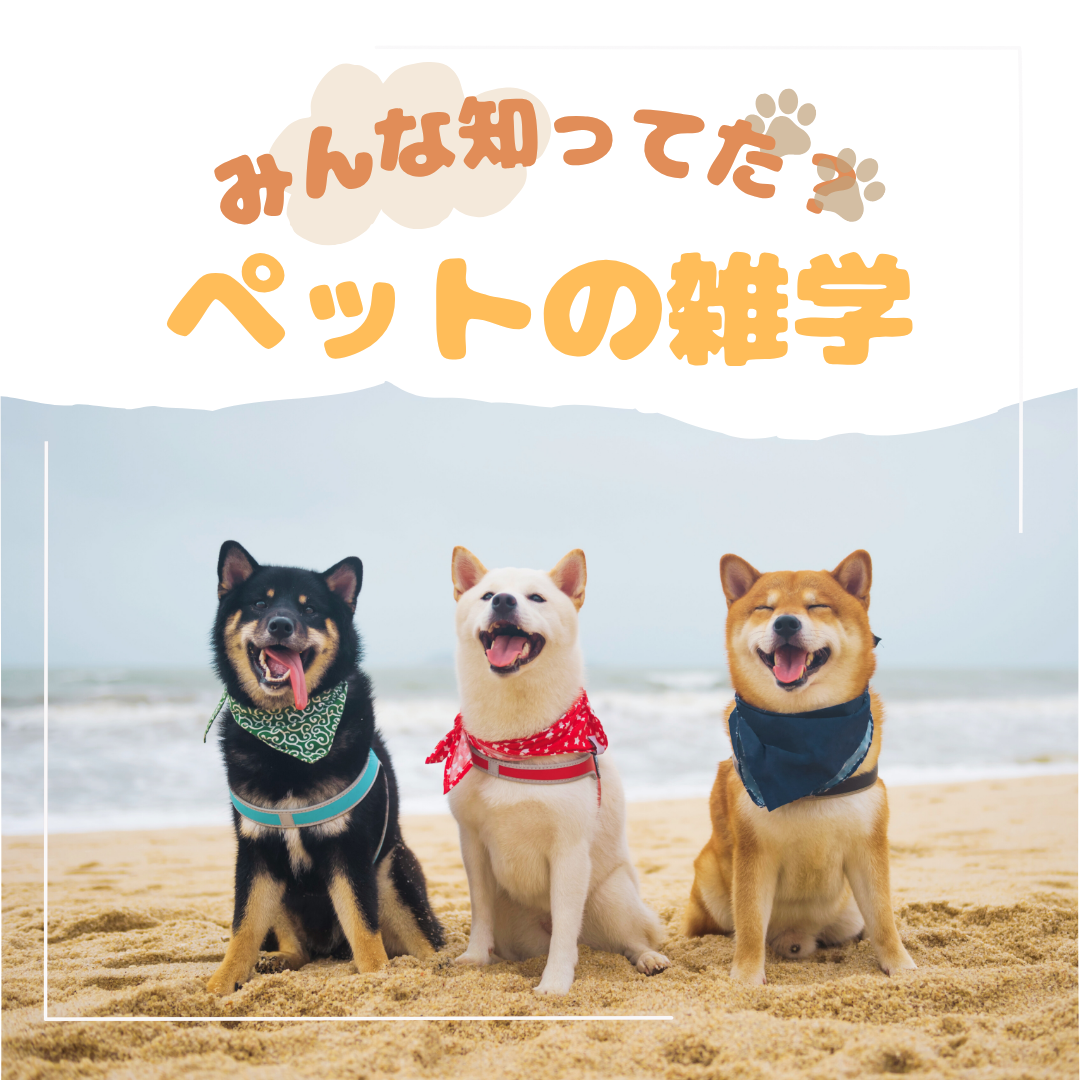 ペットの雑学