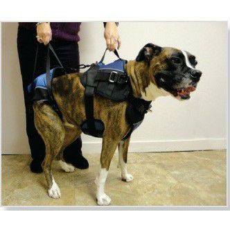 犬用 車椅子 ウォーキンホイールズ ドッグホイールチェア フロント