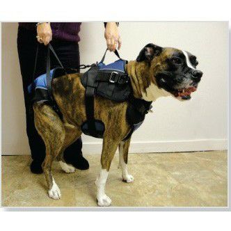 Walkin' Pets｜犬用車椅子・歩行補助・シニア犬介護用品