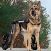 犬用 車椅子 Walkin Wheels ウォーキンホイールズ ドッグホイールチェア Lサイズカモフラージュ Wheel Kit 12インチ strut 12インチ wheel