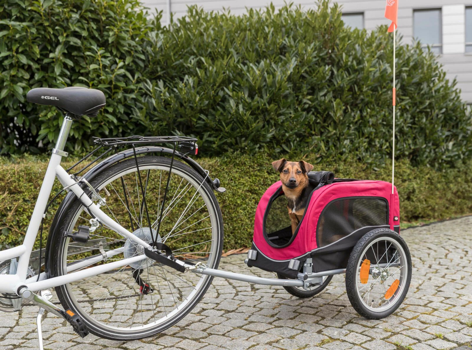 犬用 バイクトレーラー TRIXIE トリクシー クイックフォールド ドッグ