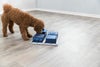 犬用 おもちゃ TRIXIE トリクシー  知育玩具 ドッグアクティビティ ポーカーボックス