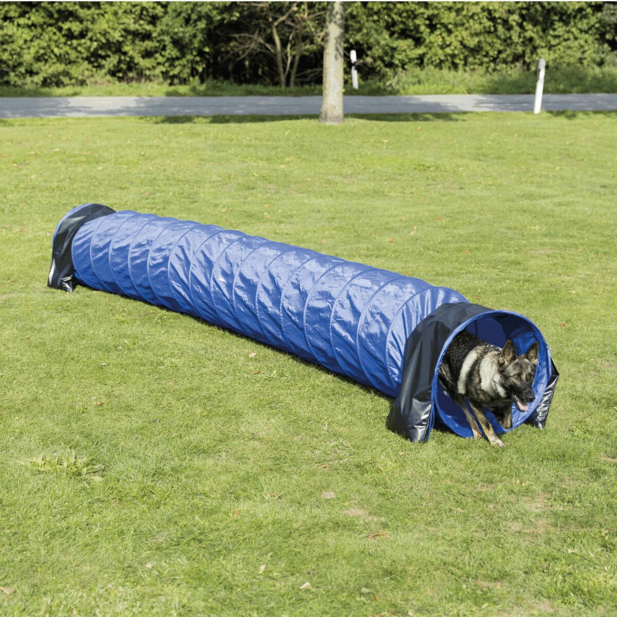 犬用 アジリティグッズ TRIXIE トリクシー ドッグアクティビティ