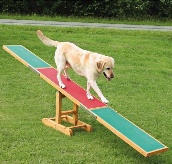 日本総輸入元】TRIXIE 本格アジリティRaised Walkway（300cm・耐荷重80kg）