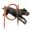 犬用 ドッグアジリティ ローズウッド ROSEWOOD ドッグアジリティフープジャンプ ドッグラン