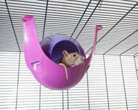小動物用 おもちゃ SAVIC  ベルギーサヴィッチ ハムスターハンモック スプートニクXL fushia/violet