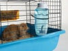 小動物用 フードボウル SAVIC ベルギーサヴィッチ ドリングホルダーSOURCE 300 ML