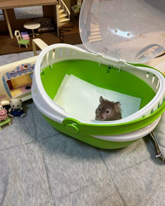 小動物用 キャリーバッグ SAVIC ベルギーサヴィッチ エルモミディアム