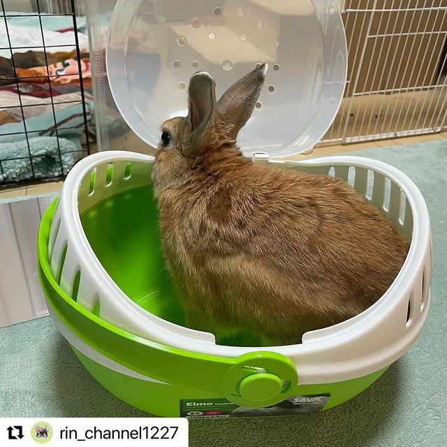 小動物用 キャリーバッグ SAVIC ベルギーサヴィッチ エルモミディアム