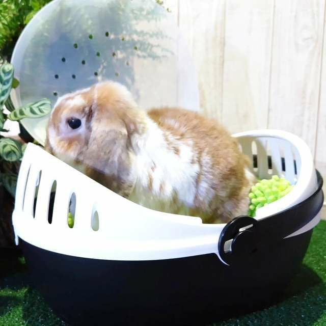 小動物用 キャリーバッグ SAVIC ベルギーサヴィッチ エルモラージ