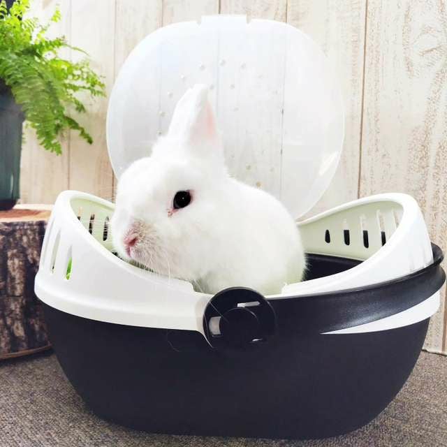 小動物用 キャリーバッグ SAVIC ベルギーサヴィッチ エルモラージ