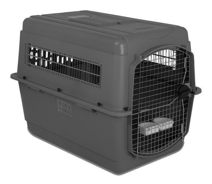 Petmate ペットキャリー 2個セット Petmate ペットキャリー 2個セット 【公式ショッピングサイト】