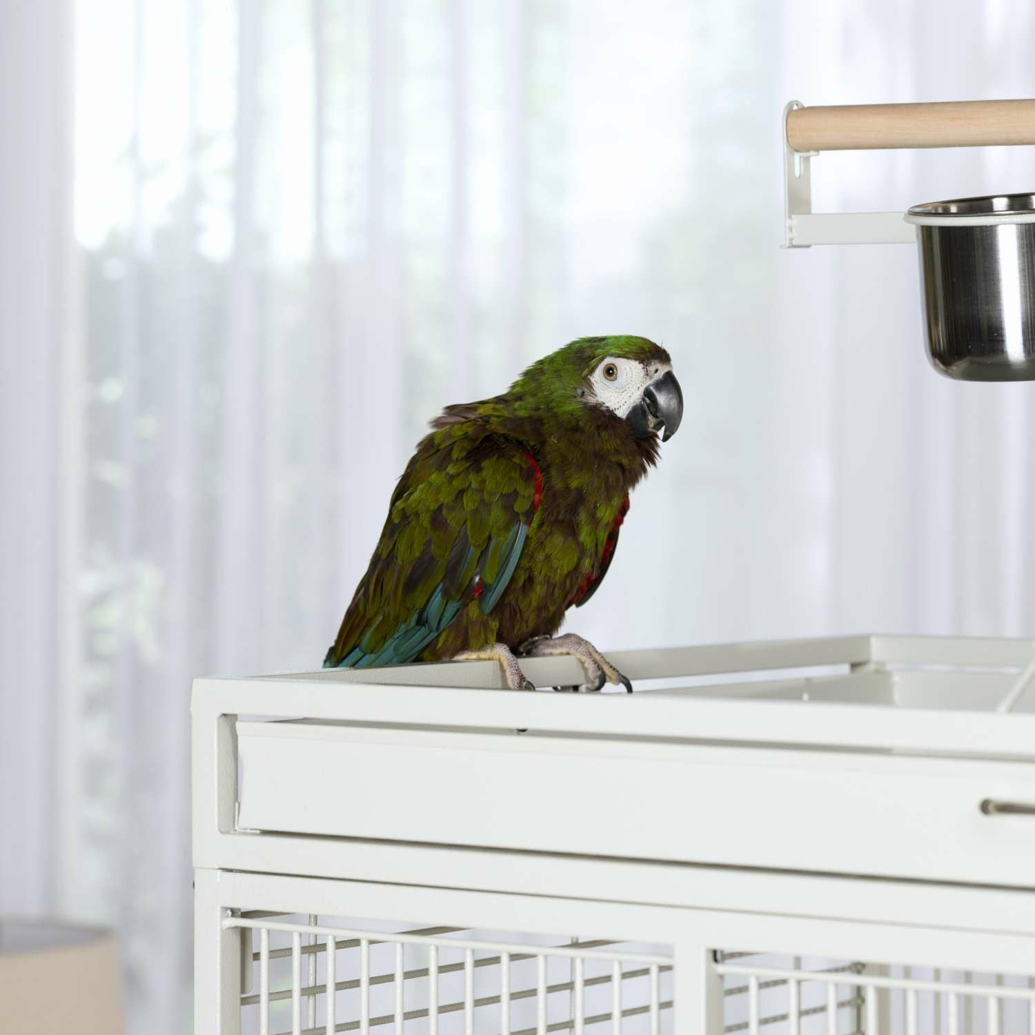 鳥用 鳥かご プレビューペット PrevuePet アイアンセレクトケージ3154W