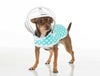 犬用 レインコート PushPushi ドッグレインコート ホワイトポルカドット×ミント  Mサイズ