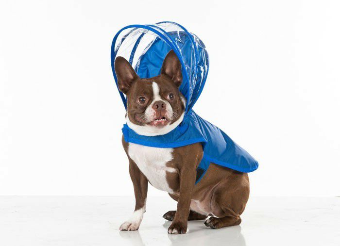 犬用 レインコート PushPushi ドッグレインコート ウッドランド