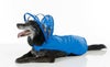 犬用 レインコート PushPushi ドッグレインコート ロイヤルブルー L