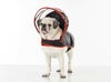犬用 レインコート PushPushi ドッグレインコート ブラック＆レッド Sサイズ