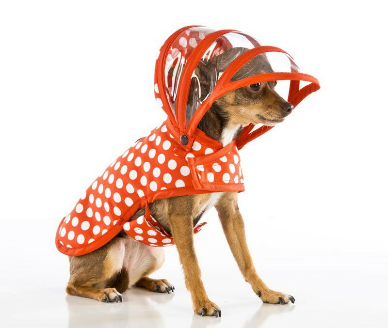 犬用 レインコート PushPushi ドッグレインコート ウッドランド