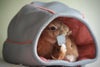 猫用 キャットベッド イタリアIMAC キャットインケイブ