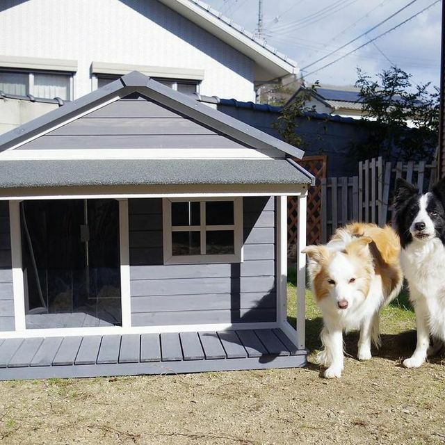 屋外用犬小屋(ドッグハウス) 楽天市場】犬小屋 ドッグハウス 三角屋根のボブハウス プラスチック製