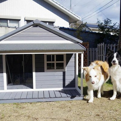 犬用 犬小屋 ニューホームタウンドッグハウス with テラスL ALLWAN 