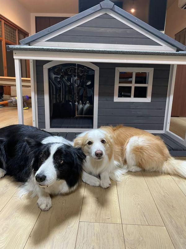 大型犬用犬小屋 屋外｜ALLWAN ニューホームタウン with テラスL 大型犬