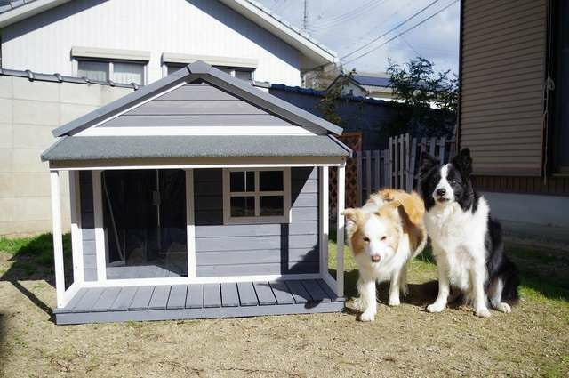 犬小屋屋外用 屋外犬小屋、大型犬用屋根付き犬小屋、4ft x 4.2ft x 4.45ft、大型から