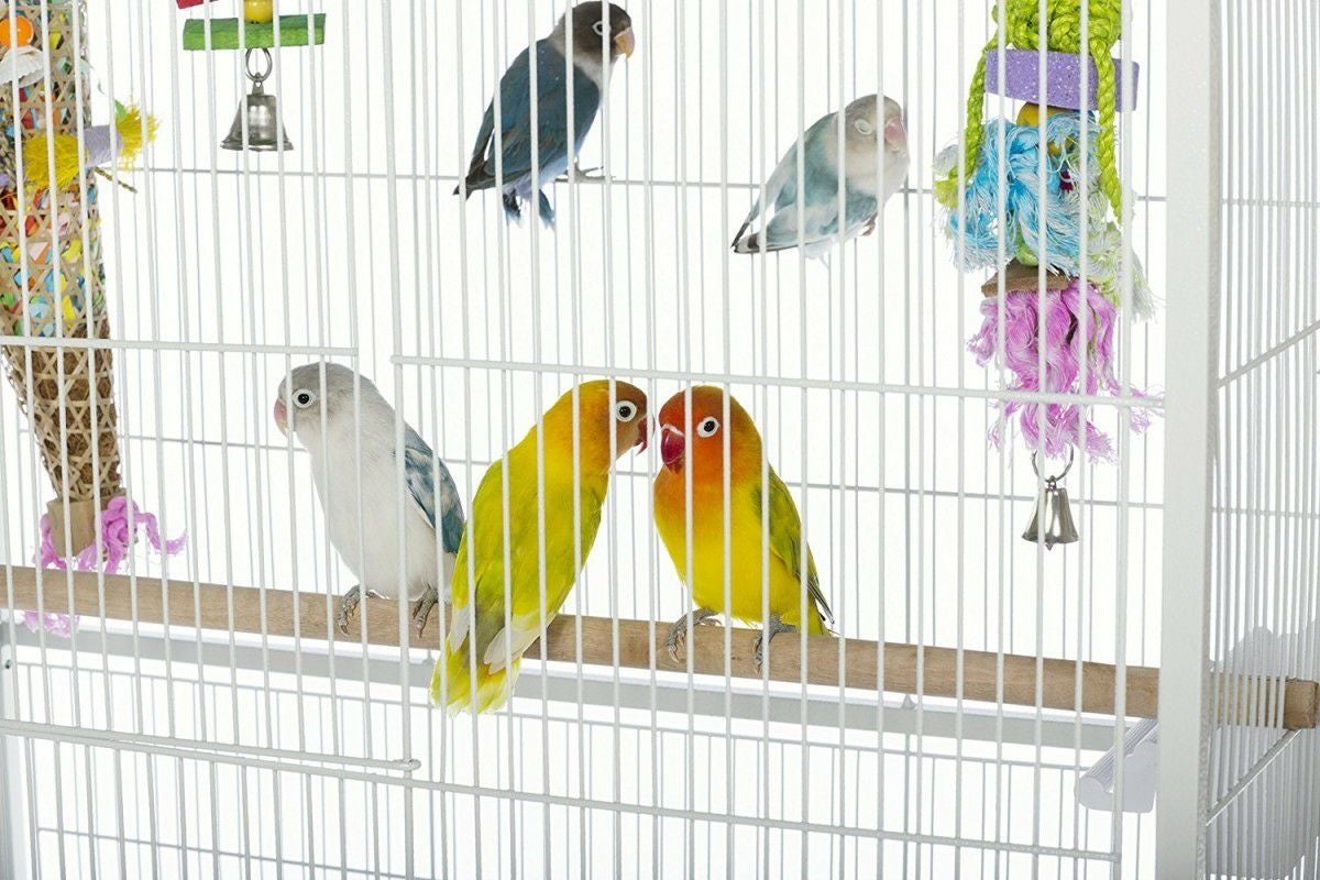 鳥かご　ケージ　大型　フライトバードケージF041　 000000010129-02.jpg?size=l&w=