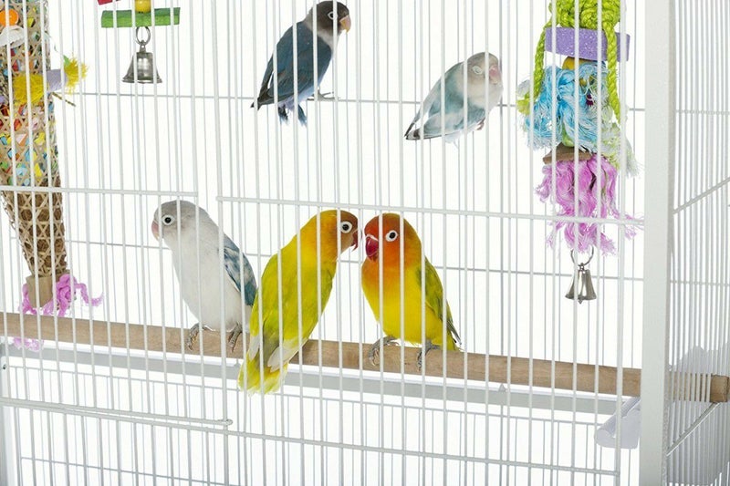 鳥用 鳥かご プレビューペット PrevuePet フライトバードケージ F041 