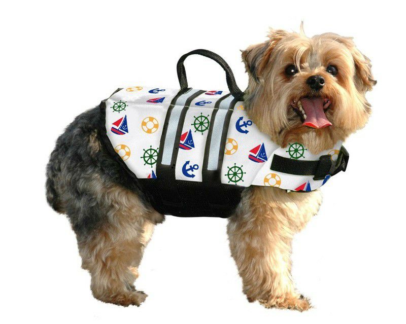 日本正規代理店】PAWS Aboard（パウスアボード）通販｜世界基準の犬用