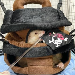 小動物用 おもちゃ MarshalPet マーシャルペット フェレットハンモック