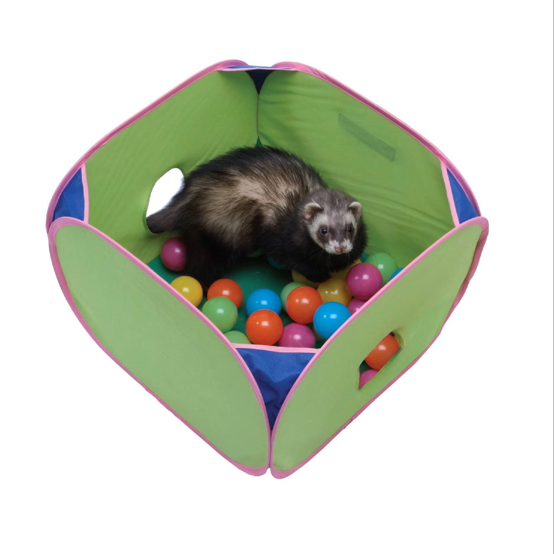 小動物用 おもちゃ MarshalPet マーシャルペット フェレットプレイ