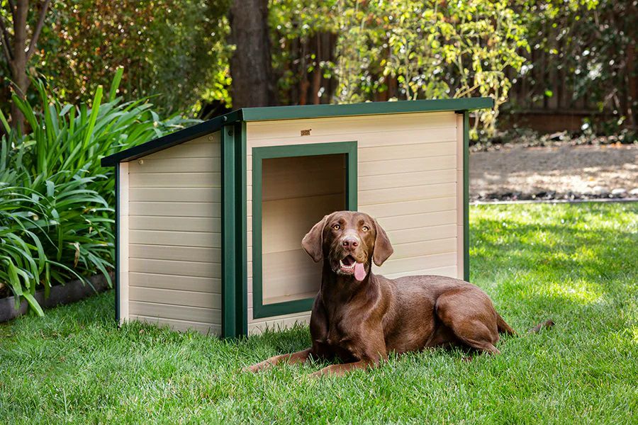 犬用 犬小屋 ニューエイジペット NEWAGEPET バンクハウスドッグハウス