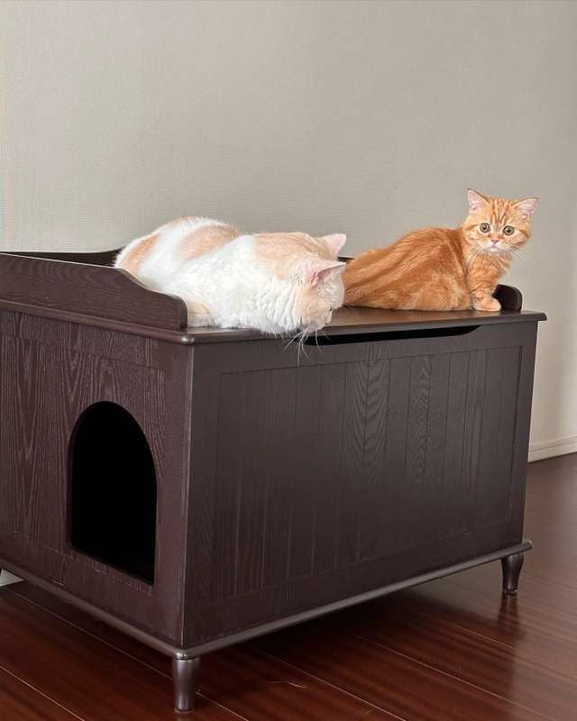 猫用 トイレ デザイナーペットプロダクツ キャットリッターボックス
