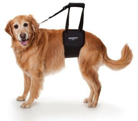 犬用介護用品通販｜海外ペット用品｜ALLFORWAN'S LIFE