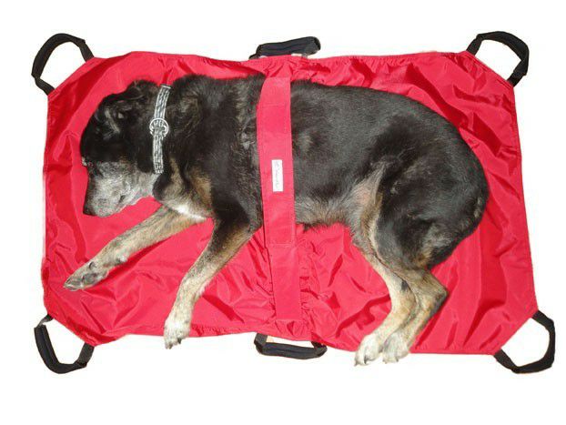 Walkin' Wheels 犬用車椅子・歩行サポート用品