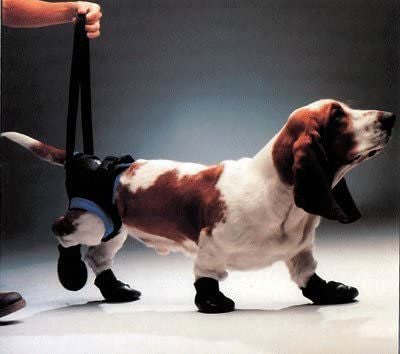 犬用 歩行補助ハーネス ウォークアバウトハーネス後部Sサイズ