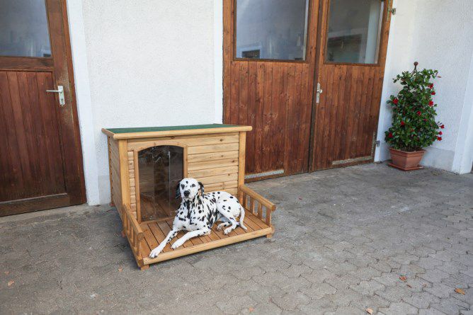 犬小屋 屋外｜KERBL withテラス 屋外 おしゃれ テラス付き 大型
