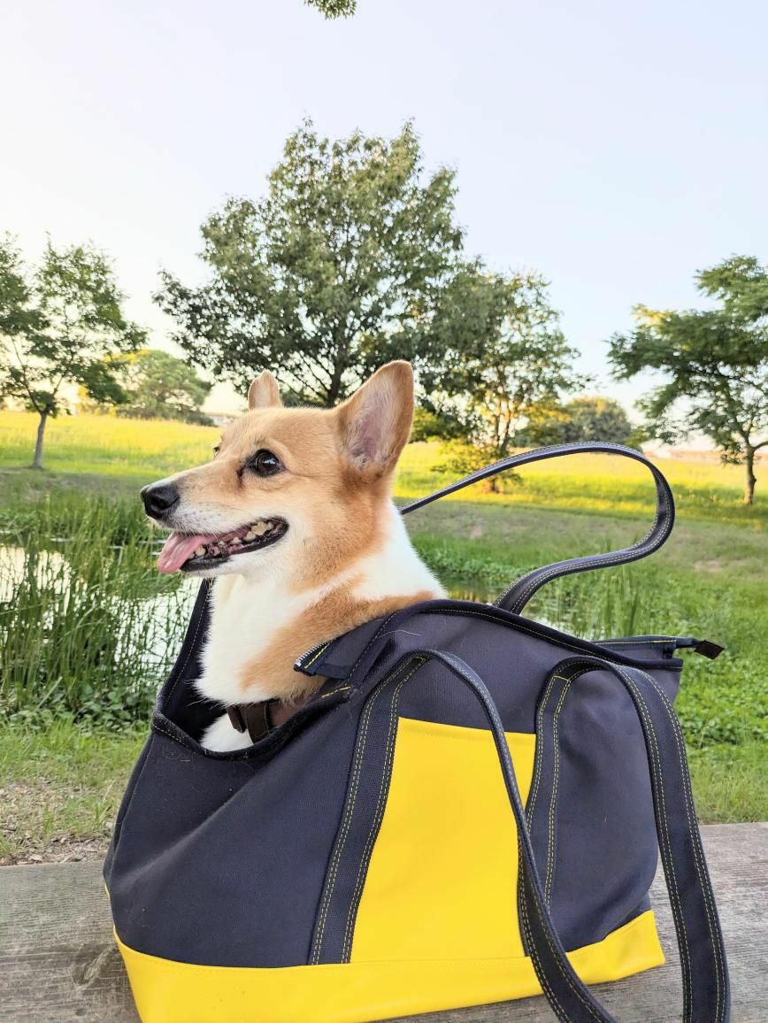 犬用 キャリーバッグ ODEKAKE ALLWAN コンビトートキャリーバッグ