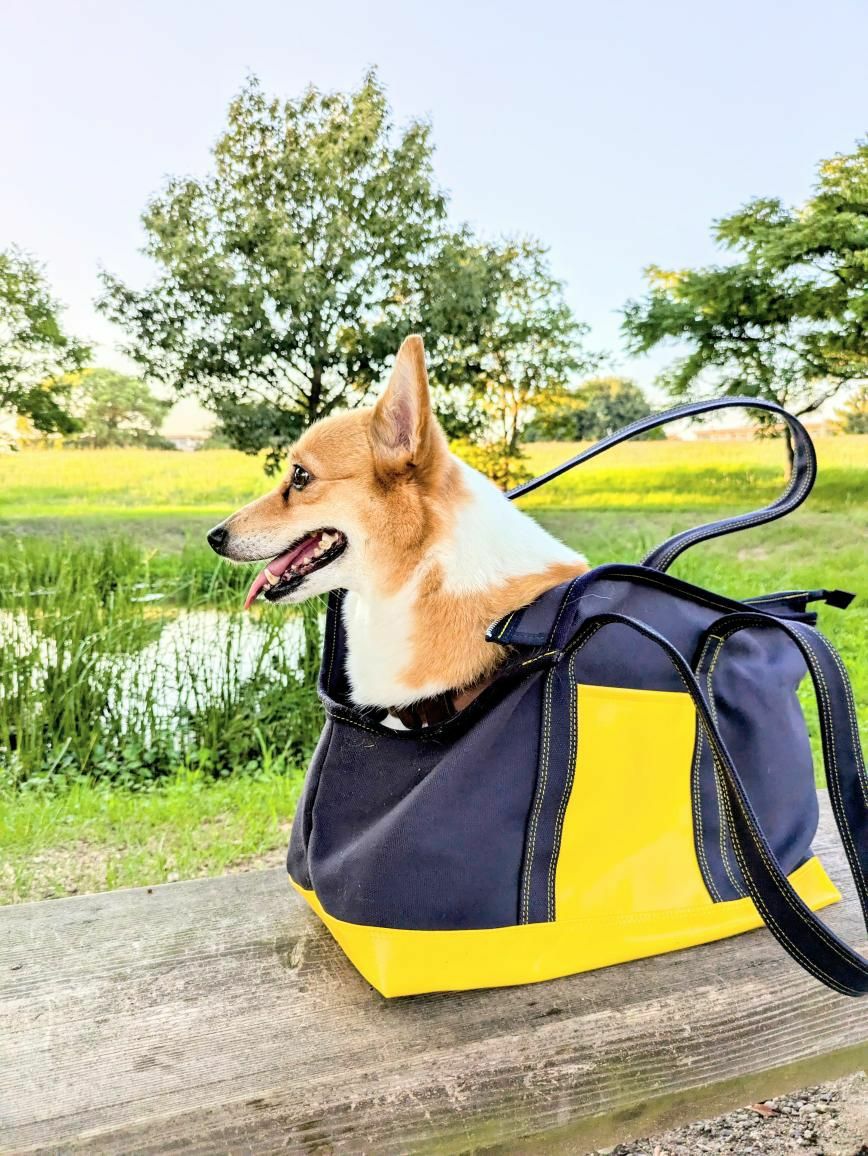 犬用 キャリーバッグ ODEKAKE ALLWAN コンビトートキャリーバッグ